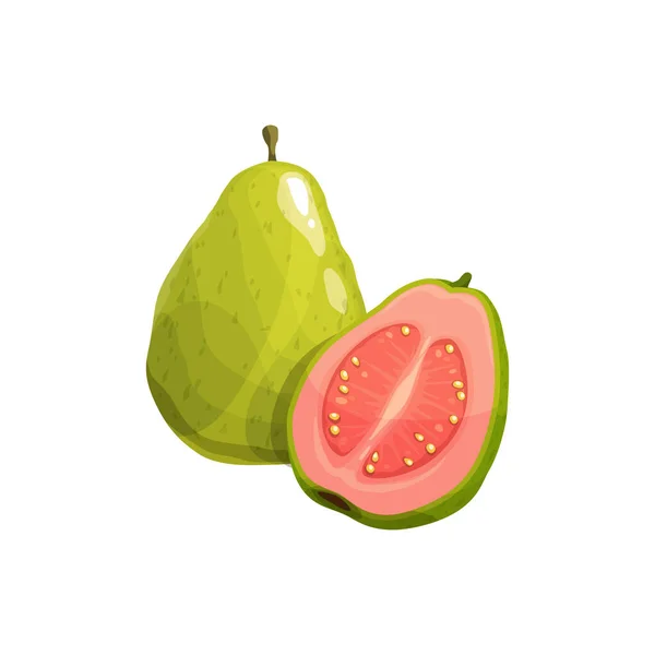 Buah Guava Tanaman Tropis Vektor Segar Terisolasi Utuh Dan Setengah - Stok Vektor