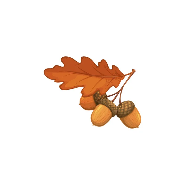 Herbst Eichel Eichel Mit Trockenen Blättern Vektorsymbol Cartoon Gefallenes Laub — Stockvektor