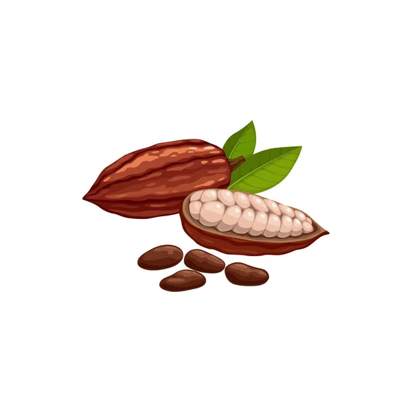 Vaina Cacao Etapa Desgarro Semillas Secas Fermentadas Brasil Indonesia Icono — Archivo Imágenes Vectoriales
