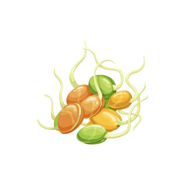 発芽豆 大豆のマメ科食品 大豆種子現実的なフラット漫画のアイコン ベクトルは大豆やエンドウ豆のマメ科植物 健康的な菜食主義者の食べ物を発芽させた 成長した種子 生豆の種 有機物を食べる — ストックベクタ