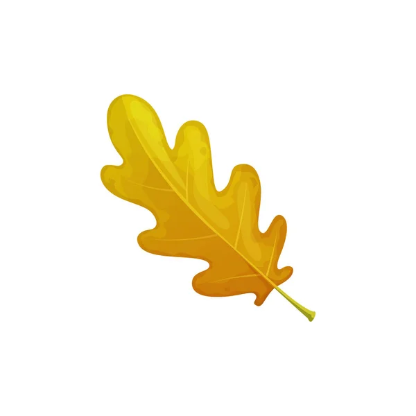 Herbst Eiche Blatt Vektorsymbol Cartoon Gefallenes Laub Trockener Baum Blatt — Stockvektor