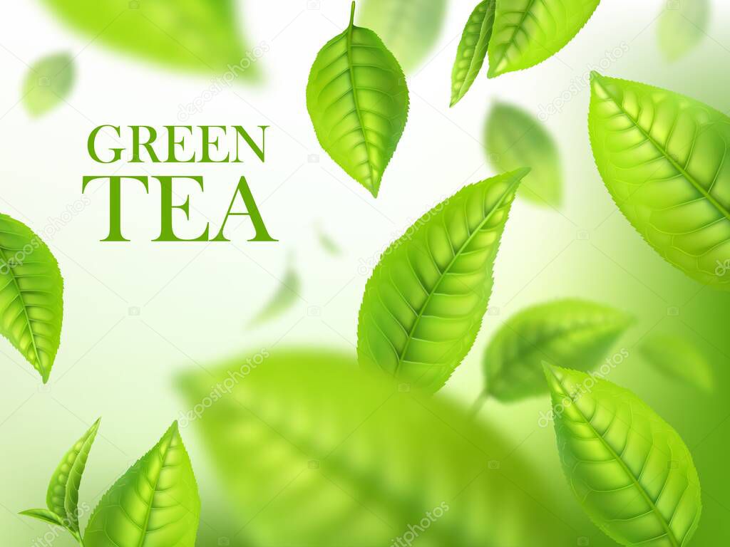 Green tea leaves, organic herbal background, vector template for beverage advertising. Falling 3d green leaves with blurr defocused effect. Realistic poster design with macro plant leaves in motion