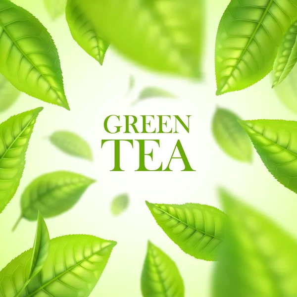 Green Tea Leaves Organic Herbal Background Realistic Vector Falling Air — Stock Vector