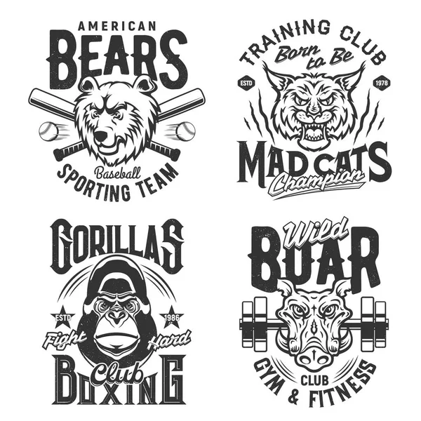 Shirt Aufdrucke Und Zitate Vektor Symbole Amerikanische Baseball Sport Mannschaft — Stockvektor