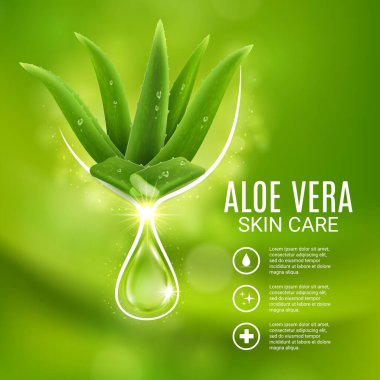 Aloe vera özü, cilt bakımı vektör posteri, aloe bitkisi ve parlayan damla ile kozmetik üretim reklamı. Katalog ya da dergi için nemlendirici kozmetik güzellik ürünü jeli ya da vücut losyonu reklam tasarımı