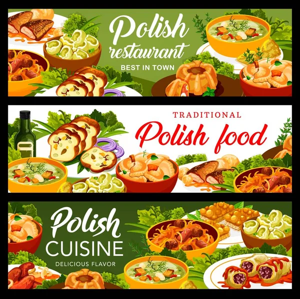 Banner Der Polnischen Küche Würstchen Kalduny Und Hackbraten Mit Wachteleiern — Stockvektor