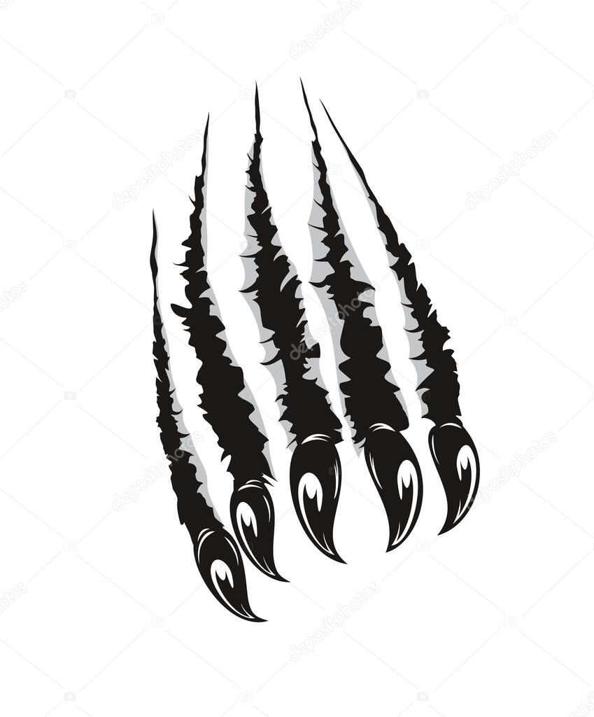 Grizzly bear claw marks scratches. Predator animal, monster or wild beast sharp claws ripping paper or breaking through wall. Halloween vector background with werewolf claws marks