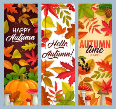 Düşen yapraklı, balkabaklı ve düşen yapraklı sonbahar vektör afişleri. Mantar, kozalak, akçaağaç, meşe veya kavak ağacı ve kestane yapraklı huş ağacı. Mutlu sonbahar mevsimsel selamlar