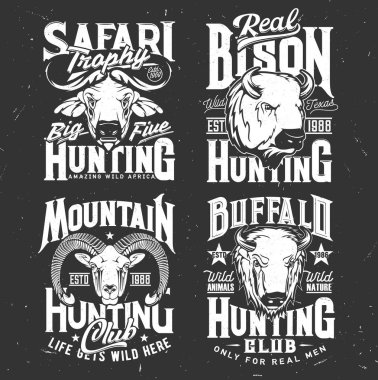 Dağ keçisi, bizon ve bizon başlı tişört izleri. Avcılık ve safari kulübü için vahşi hayvan maskotları, giysi tasarımı için siyah beyaz etiketler, av toplumu için izole amblemler.