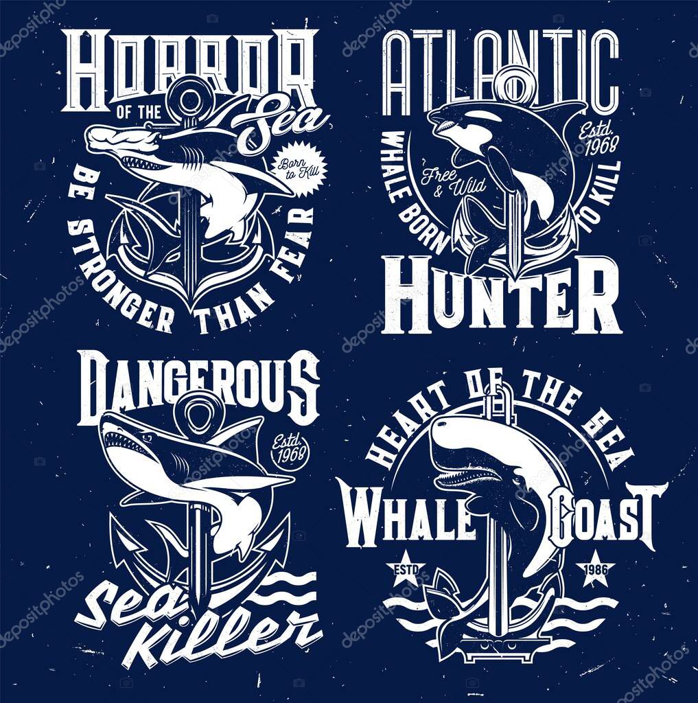 Nautical t-shirt prints, anchor and marine sea waves vector emblems. Shark and killer whale ocean fish blue signs with slogans and quotes, Atlantic fishers and hunters club grunge badges