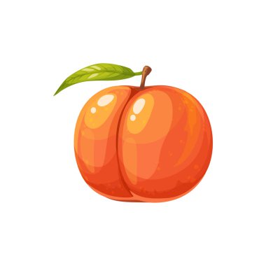 Olgun şeftali meyvesi, bahçe bitkisi, vektör sulu, saplı ve yapraklı sağlıklı çiftlik meyvesi. Organik üretim, beyaz arkaplanda izole edilmiş tasarım için çizgi film ögesi