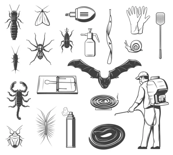 House Pests Control Insects Animals Vector Icons Termite Silverfish Moth — Stock Vector