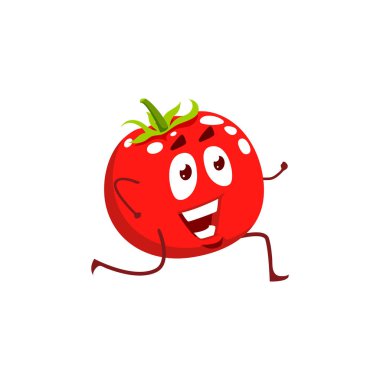 Çizgi film domates sporcusu koşusu, vektör komik sebze sporu egzersizleri, beyaz arka planda izole edilmiş stadyumda yarış. Sağlıklı beslenme, spor yaşam tarzı, organik beslenme