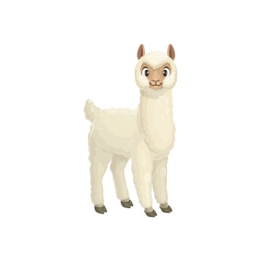 Alpaca, Vicugna pacos Linnaeus lama hayvan portresi kürklü beyaz gövdeli, karikatür baaby hayvanı. Vektör alpaka dağ lama, çiftlik hayvanı memelisi, evcilleştirilmiş Güney Amerika kamelyası.