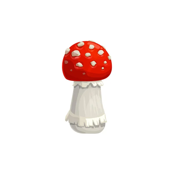 Amanita Gomba Őszi Muszkaria Vektor Izolált Ikon Őszi Természet Hálaadás — Stock Vector