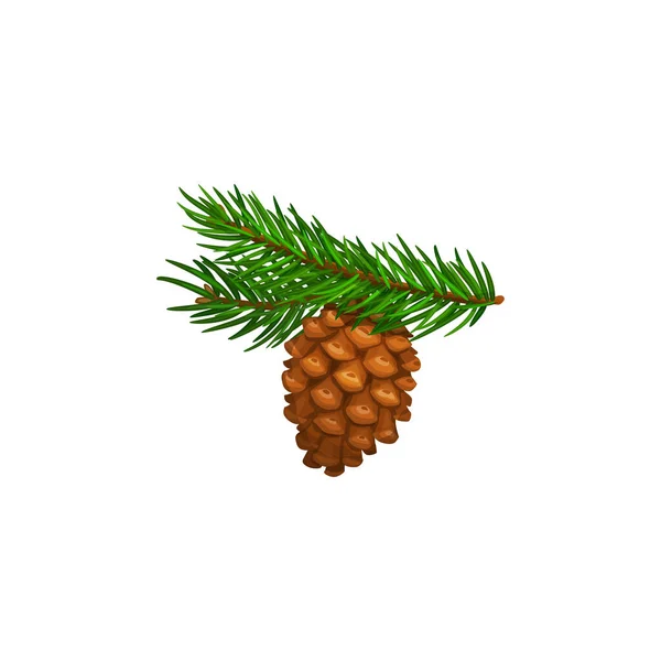 Cono Pino Piña Rama Abeto Icono Vectorial Aislado Navidad Invierno — Vector de stock