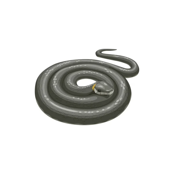 Snake Icon Ongediertebestrijding Uitroeiing Desinfectie Service Geïsoleerde Vector Bestrijding Van — Stockvector