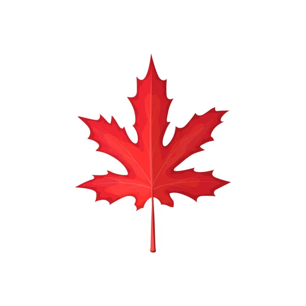 Autumn Maple Leaf Vector Icon Cartoon Foliage Fallen Tree Leaf — Stock Vector