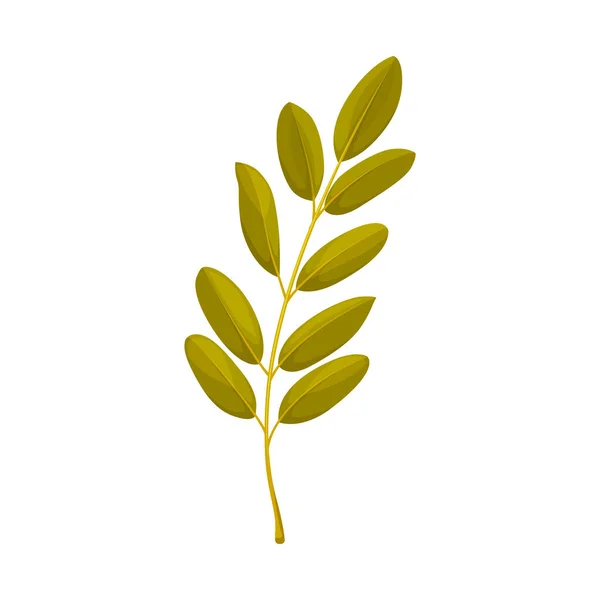 Rowan Leaf Vector Icon Cartoon Foliage Fallen Tree Leaf Green — Stock Vector