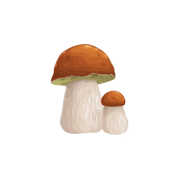 Mushroom Cep Vector Icon Cartoni Animati Vegetali Forestali Modificabili Con — Vettoriale Stock