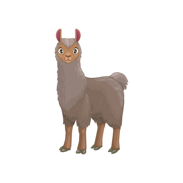 Portrait Animal Lama Avec Corps Gris Fourrure Isolé Animal Dessin — Image vectorielle