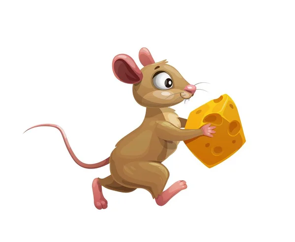 チーズベクトルかわいいげっ歯類の動物の文字と面白い漫画のマウス 黄色のスイスチーズと実行している茶色のラットやマウス 空腹のラットの窃盗食品 隔離された背景 — ストックベクタ