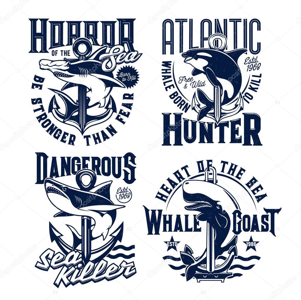 Tshirt prints with ocean animals killer whale, hammerhead shark and anchors. Vector mascots for fishing or marine club with sea predators. Adventure team prints with typography on white background