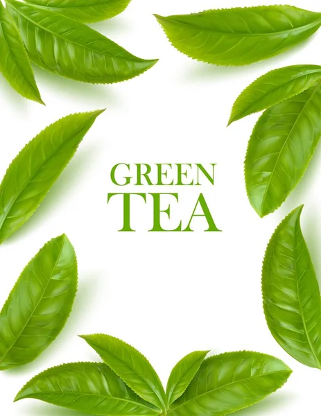 Green Tea Leaves Herbal Background Vector Frame Organic Beverage Advertising — Stock Vector