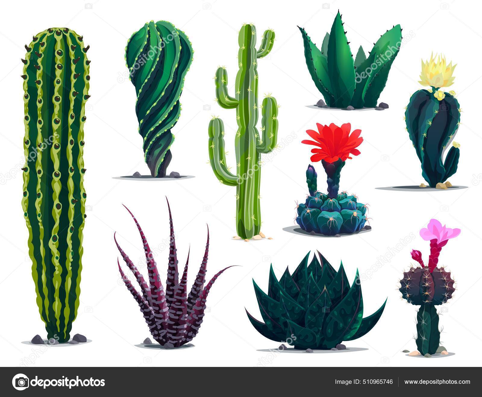 Desenhos Animados Mexicano Cacto Flores Deserto Conjunto Suculento Cactos  Vetoriais imagem vetorial de Seamartini© 476765384