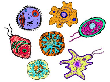 Cartoon amebas, germs or microbial lifeforms clipart