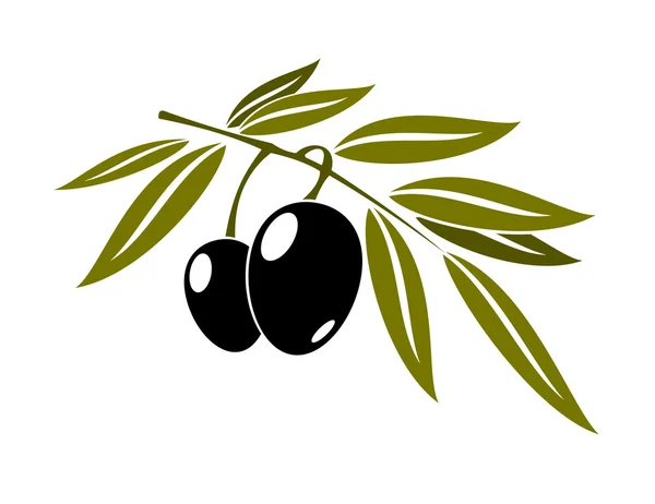 Black olives branch with leaf — Stock Vector