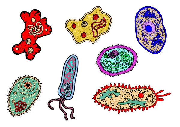 Cartoon ameba of microbiële levensvormen — Stockvector