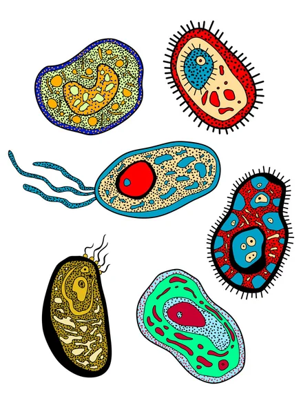 Set de amebas, amebas, microbios y gérmenes — Archivo Imágenes Vectoriales