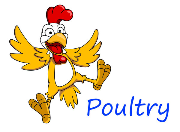 Cartoon cockerel character 