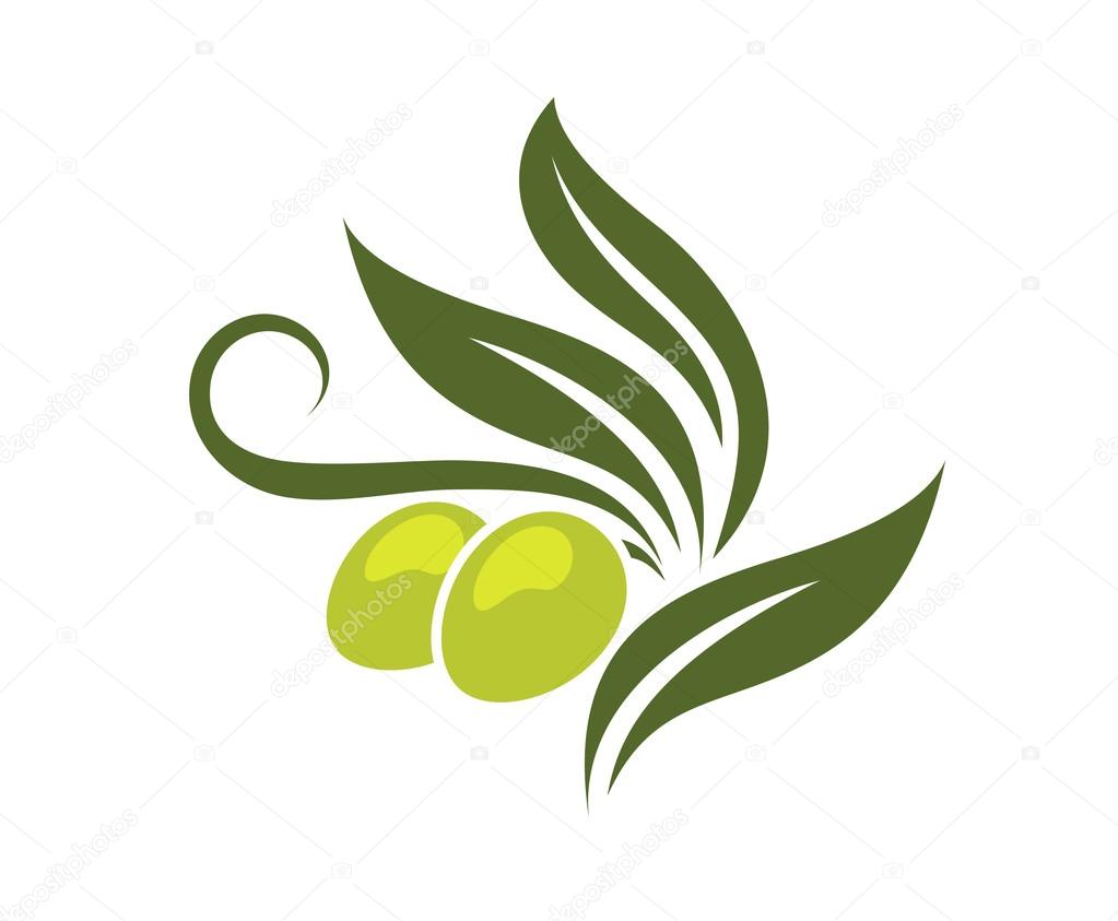 Green olives branch with leaves isolated on white background for healthy vegetarian food, logo design
