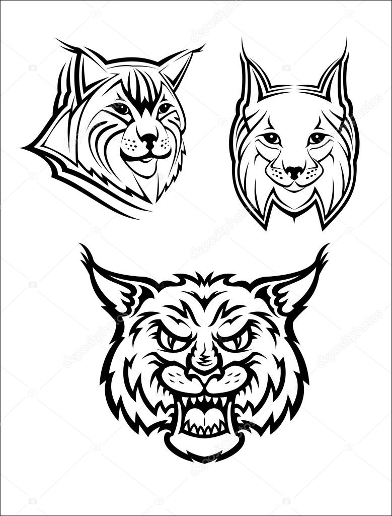 Head logo of a wild bobcat or lynx for masot or wildlife design, isolated on white background
