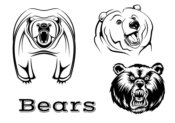 Θυμωμένος σταχτιές αρκούδες χαρακτήρες — Διανυσματικό Αρχείο
