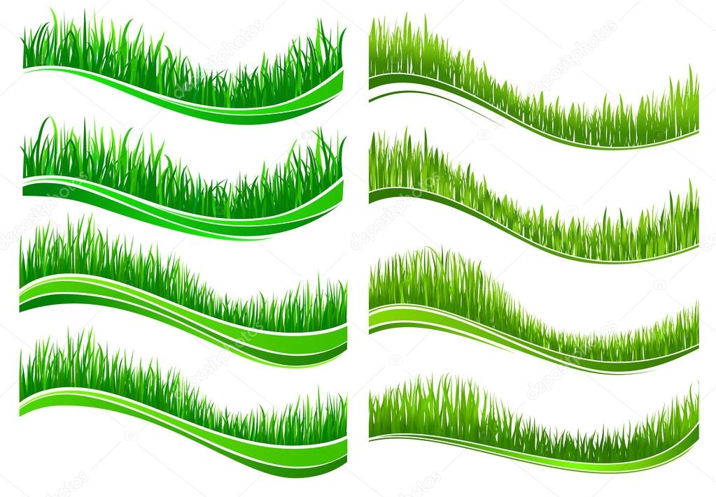 Green colored grass borders 