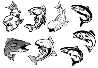 Cartoon salmons fish set  clipart