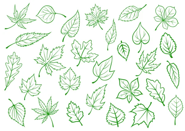 Green leaves set in outline style — Stock Vector
