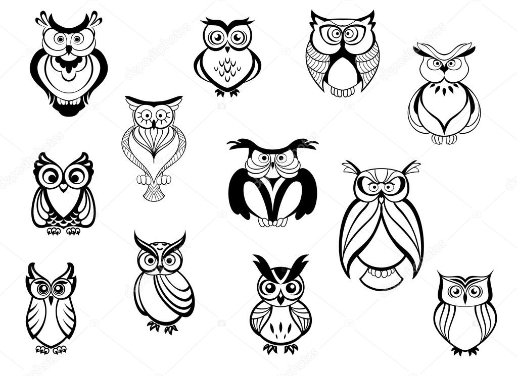 Cute owls and owlets