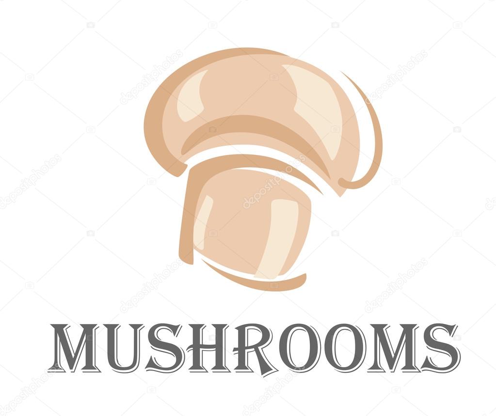 Fresh forest mushroom isolated on white background. For food, pizza and gourmet design