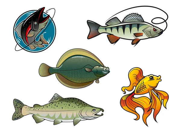 Salmon, flounder, perch and goldfish — Stock Vector