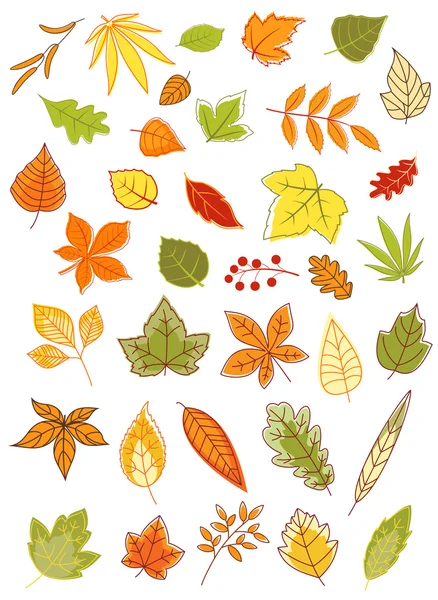 Feuilles d'automne colorées ensemble — Image vectorielle