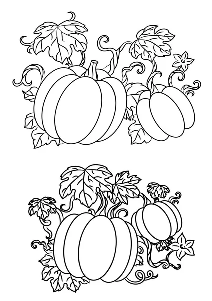 Black and white line drawings of pumpkins — Stock Vector