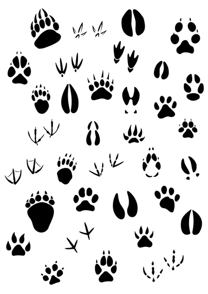 Jeu de pieds d'animaux — Image vectorielle