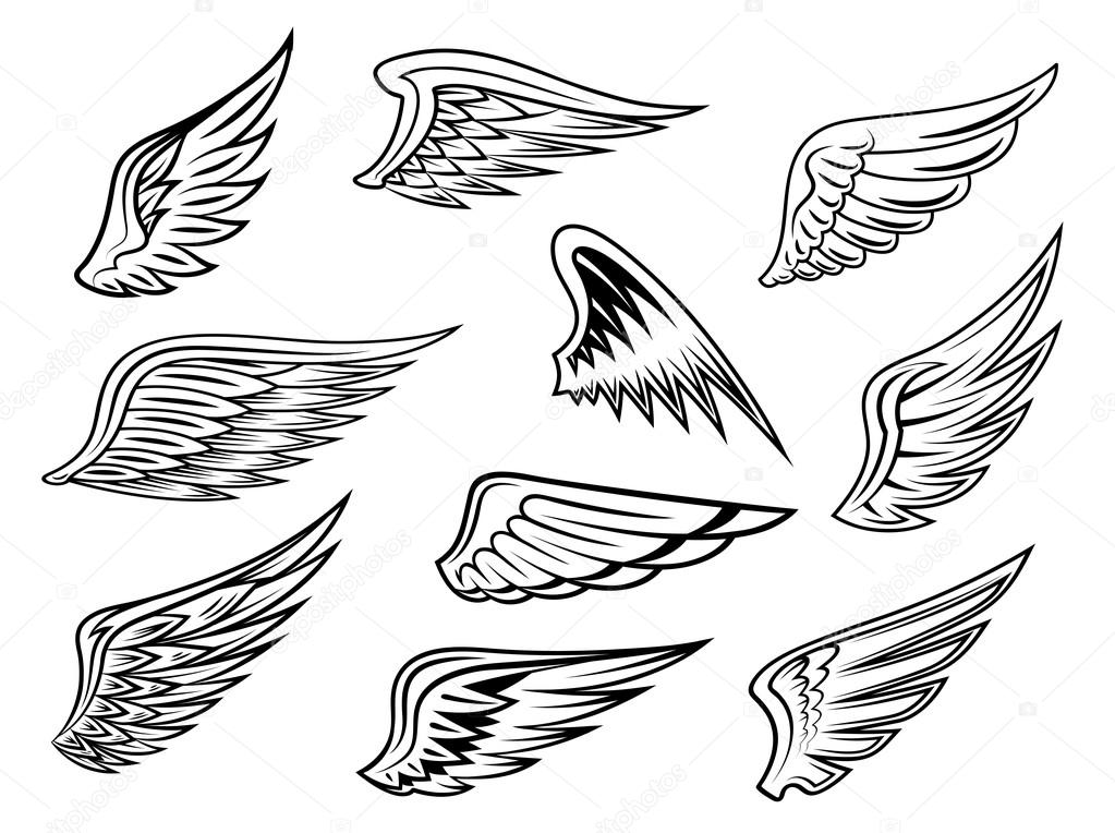 Set of heraldic vector wings in black and white with feather detail for tatto or logo design, isolated on white