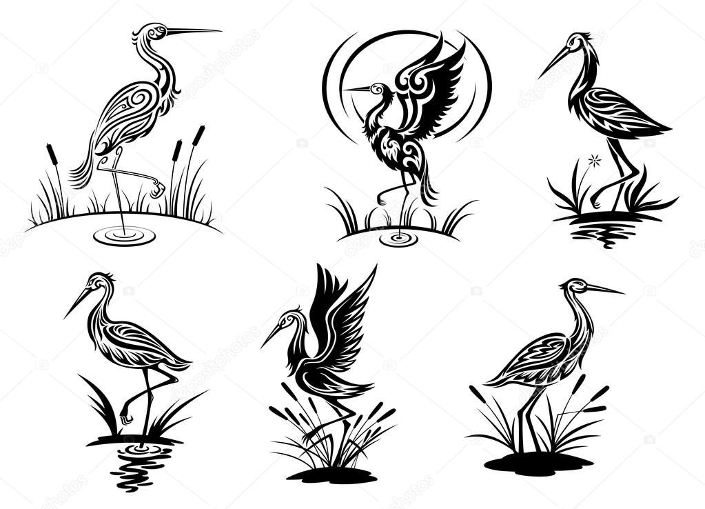 Stork, heron, crane and egret birds