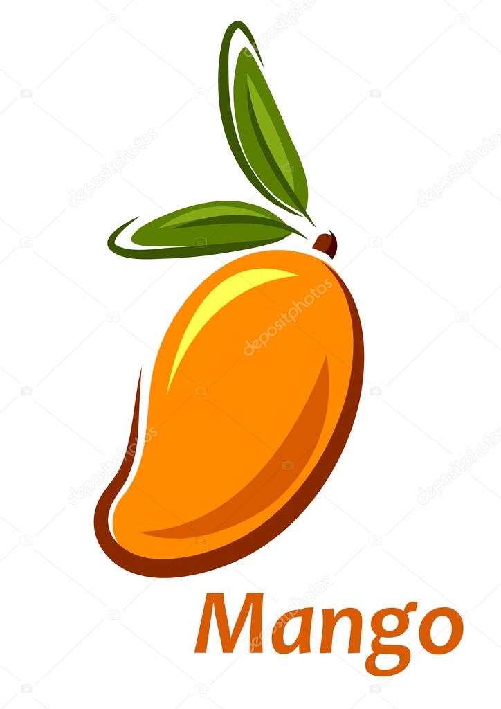 Fresh cartoon mango fruit sketch isolated on white background, vector illustration
