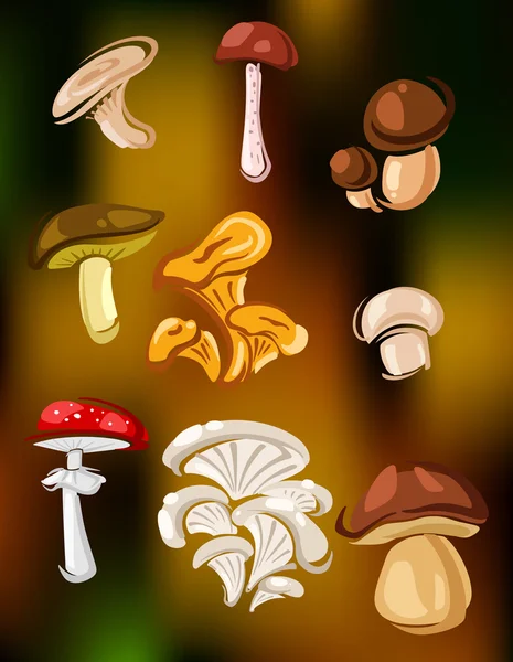 Conjunto colorido de cogumelos vetores e fungos — Vetor de Stock